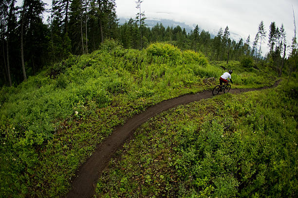 Mountain Bike Racer