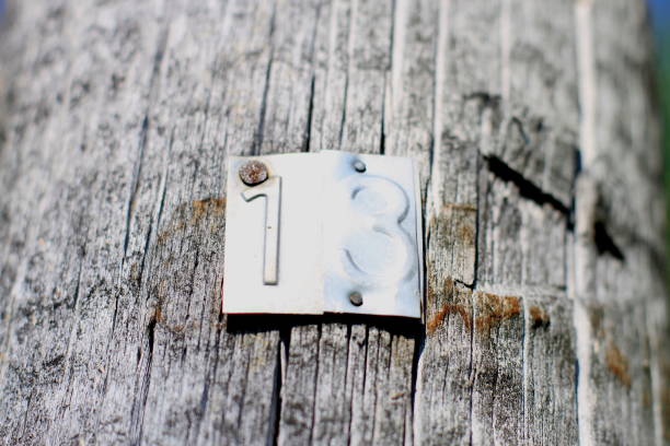 istock #13 639262066