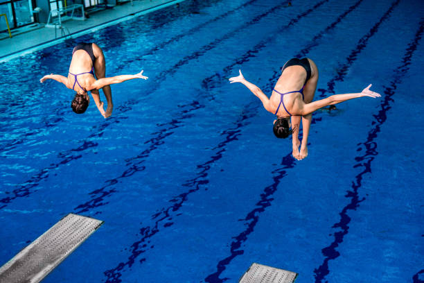 Synchronized diving Synchronized diving. Two female springboard divers in the air diving into water photos stock pictures, royalty-free photos & images