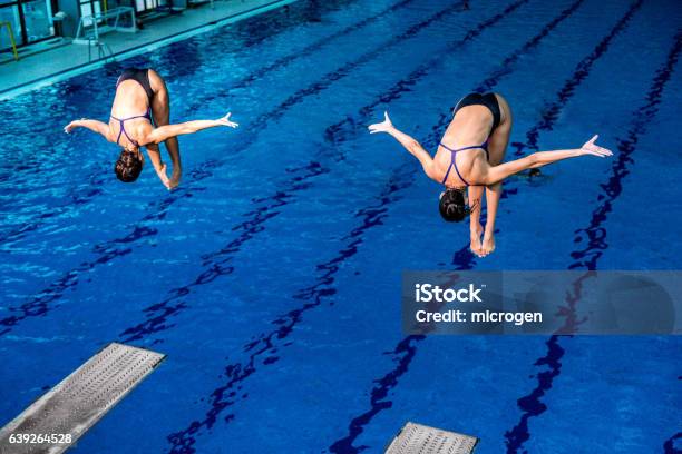 Synchronized Diving Stock Photo - Download Image Now - Diving Into Water, Swimming Pool, Synchronized Diving