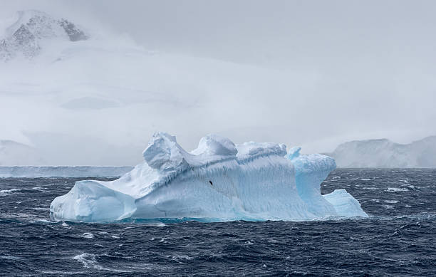 istock Iceberg floating in Antarctica with mountains behind 639266546