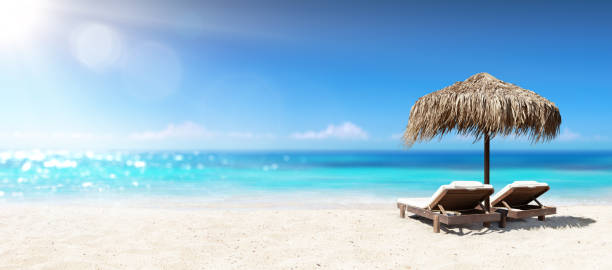 istock Two Chairs Under Parasol In Tropical Beach 639270926