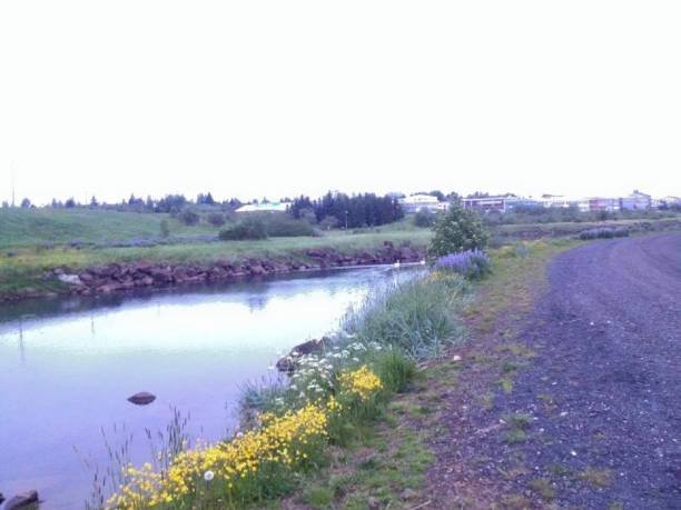 istock Waterways of Iceland 639272302
