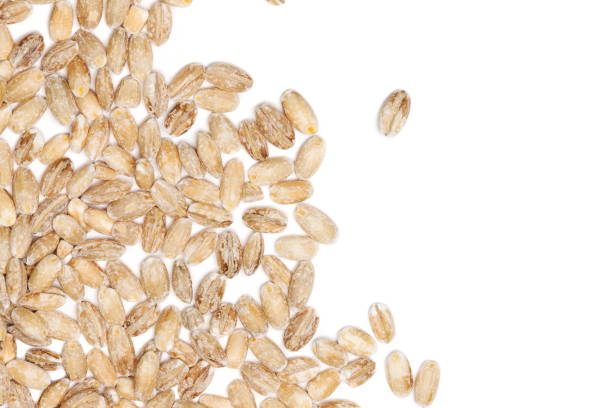 istock Pearl barley seeds border on white 639275258