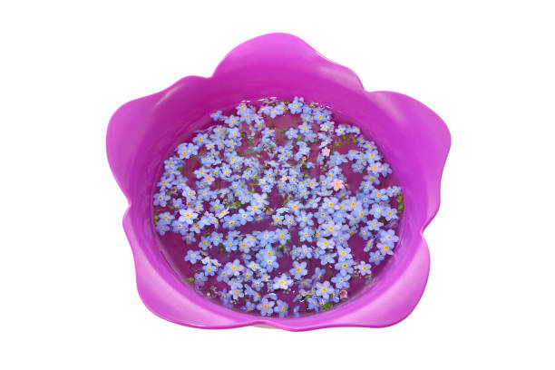 Forget-Me-Nots in Tulip Bowl stock photo