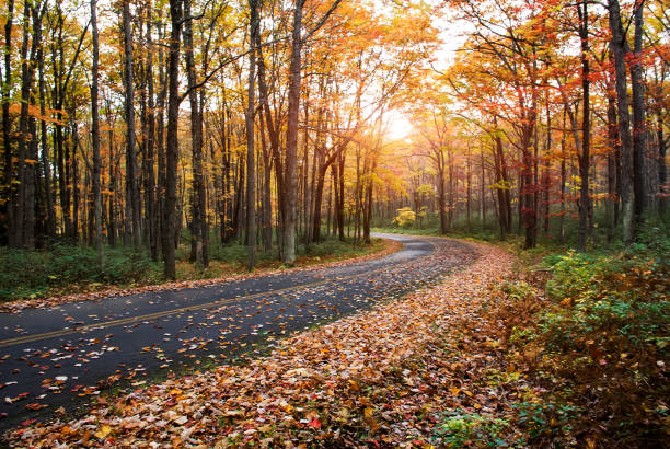 istock Autumn Road 639279298