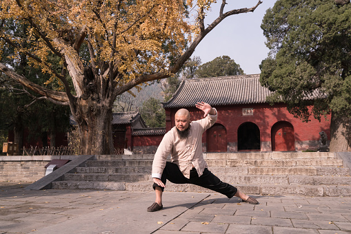 Cropped shot of bearded male qigong master teaching qigong tree pose, students repeating standing meditation exercise in blurred background