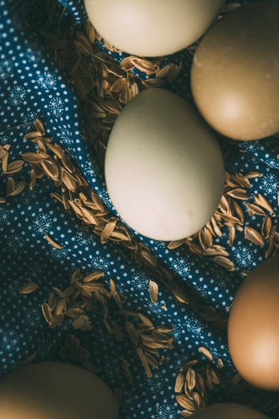 istock Organic Eggs wrapped with vintage fabric 639283002