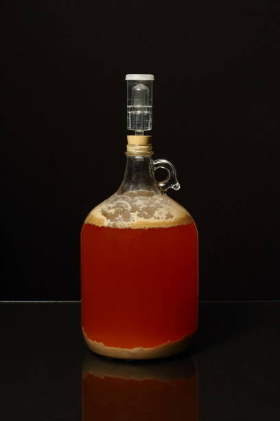 fermentación de la cerveza homebrew - airlock fotografías e imágenes de stock