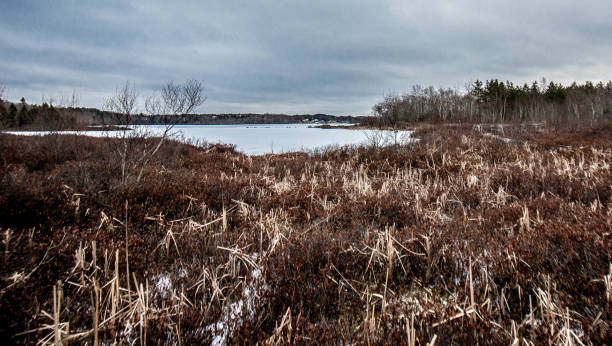 Nova Scotia Albro Lake Walkway stock photo