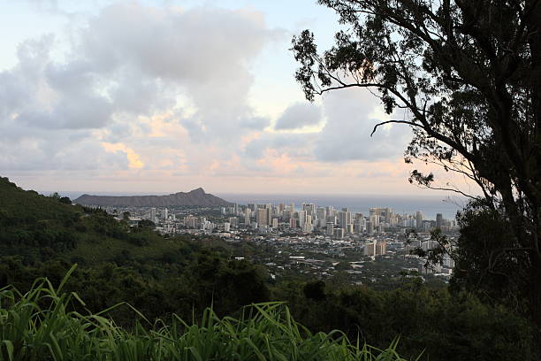istock Honolulu cityscape at dusk 639288720