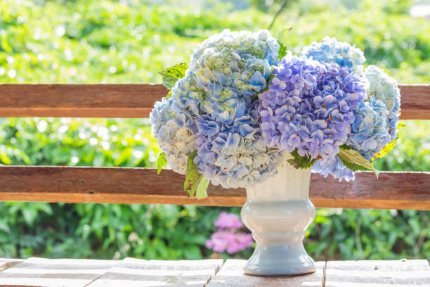 istock hydrangea flowers in white vase top on old wooden 639290974