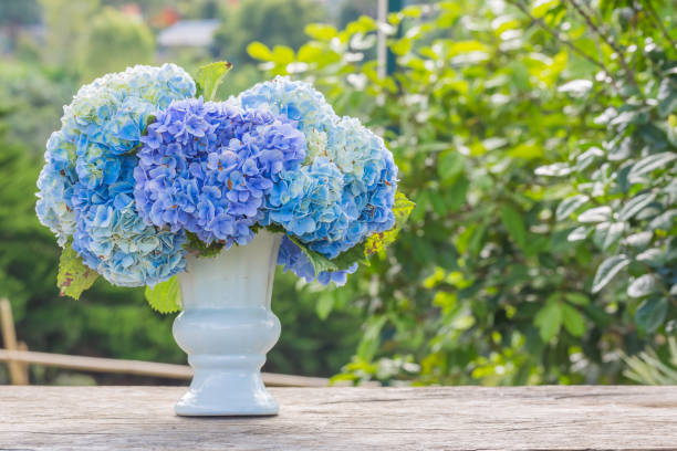 istock hydrangea flowers in white vase top on old wooden table 639291030