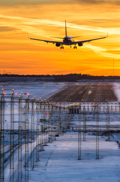istock Airplane landing in sunset 639291180