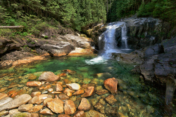 istock Creek in the summer, BC, Canada 639291476