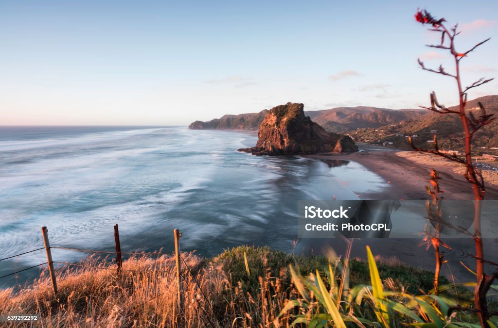 Piha Beach Sunset Piha Beach is on the west coast of Auckland just 1 hour from the international Airport it's often the first stop for incoming tourists Auckland Stock Photo