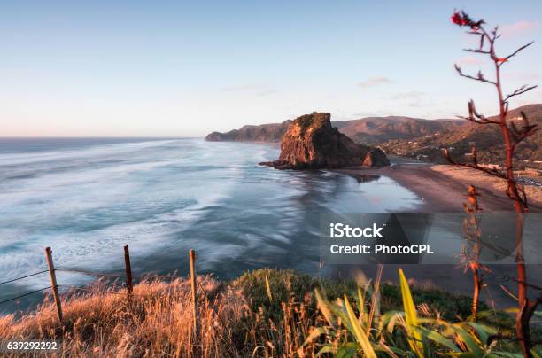 Piha Beach Sunset Stock Photo - Download Image Now - Auckland, Summer, New Zealand