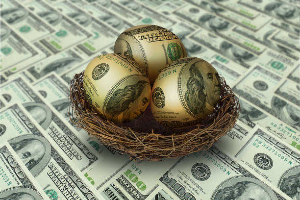 istock egg shaped money in nest on dollar background 639297714