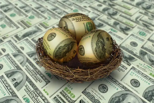 Photo of egg shaped money in nest on dollar background