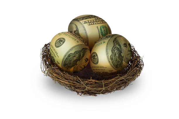 흰 배경에 둥지에 계란 모양의 돈 - birds nest animal nest nest egg savings 뉴스 사진 이미지