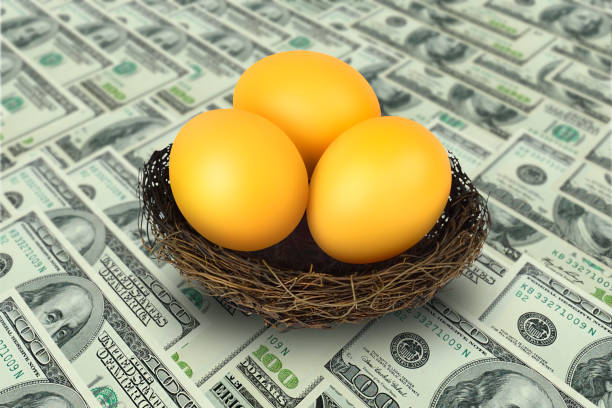 istock golden egg in nest on dollar background 639297790