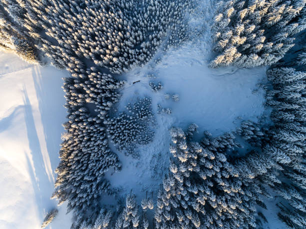istock Mountain landscape in winter season 639297798