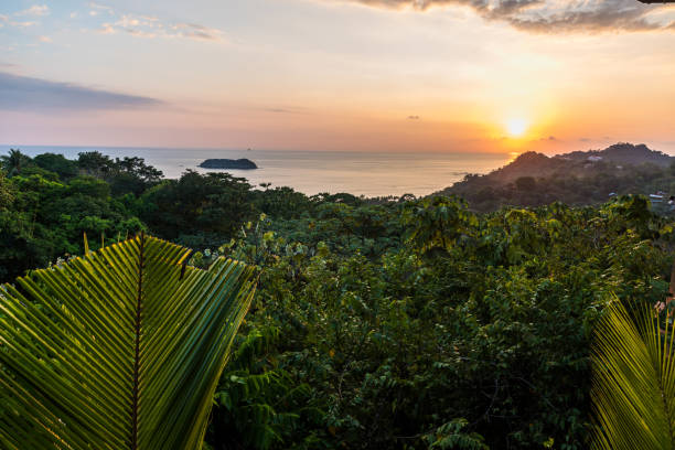 마누엘 안토니오, 코스타리카에서 일몰 - 열대 태평양 연안 - costa rica beach palm tree tree 뉴스 사진 이미지