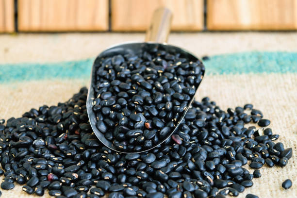 istock black beans seeds 639300428