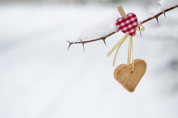 Cubiertas de nieve de derivación decoradas con forma de corazón con pedacitos de chocolate. - foto de stock