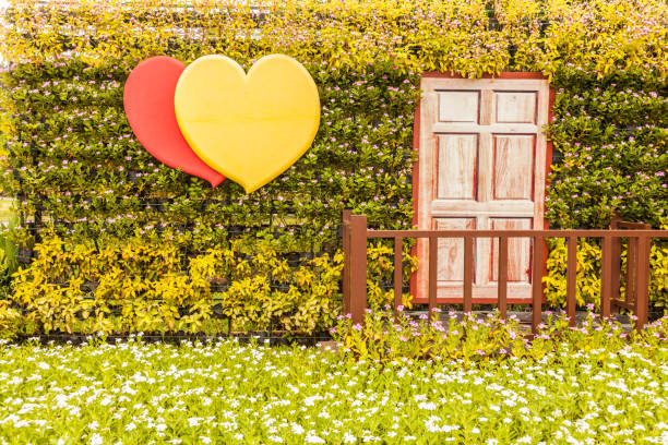 Valentines Day background with heart and flower in the garden.