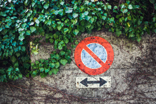 istock Old No parking sign in ivy 639304088
