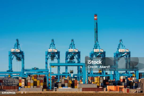 Large Cranes At Container Terminal In Rotterdam Harbour Stock Photo - Download Image Now