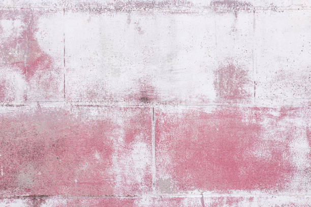 istock Hi res grunge wall background 639309982