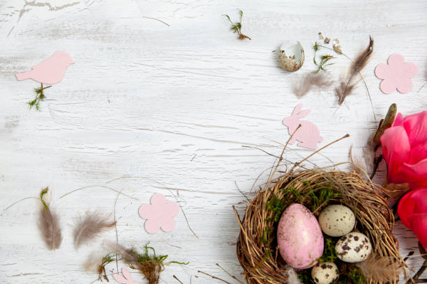 istock Easter decoration with nest and egg on white wood background 639315930