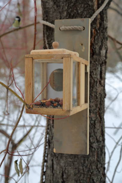 istock Feeder for birds in the park 639318206
