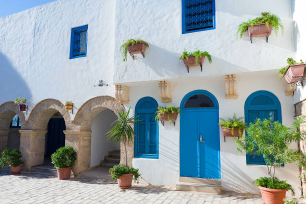 Narrow Tunis street with white houses.