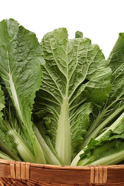 istock Organic Pak_Choi 639321254