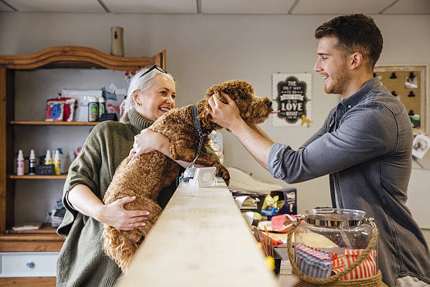 este ama a los groomers - adult affectionate love animal fotografías e imágenes de stock