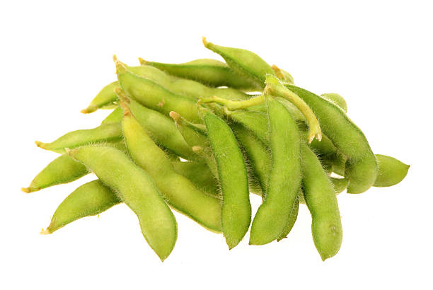 frische sojabohnen mit hülse - soybean bean edamame pod stock-fotos und bilder