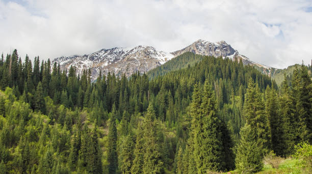 istock Mountains with ice peaks and cloudy sky, Central Tien-Shan 639325208