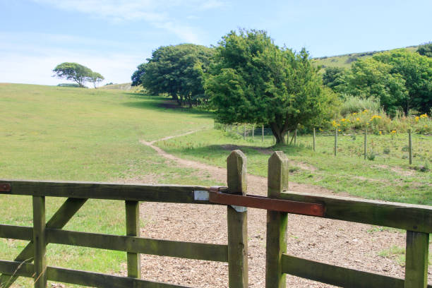 istock Isle of Wight Landscape 639325852