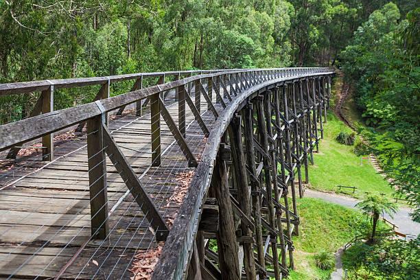 istock Noojee old trestle bridge in eucalyptus forest. 639326088