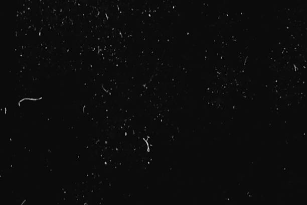 istock black and white background realistic flickering, analog vintage TV signal 639327104