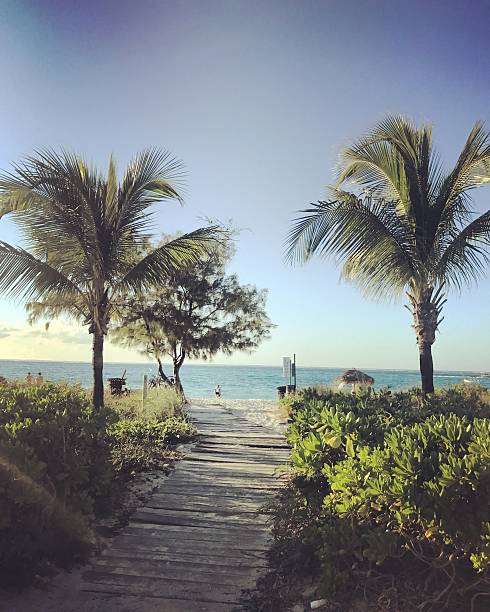 istock Grace Bay Beach, Turks and Caicos Islands 639329294