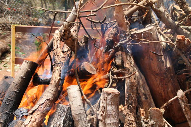 istock Firewood, Wood-burning, Burning Wood, Fire 639333088