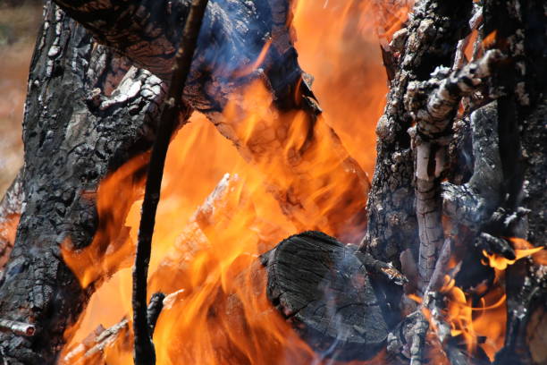 istock Firewood, Wood-burning, Burning Wood, Fire 639333504