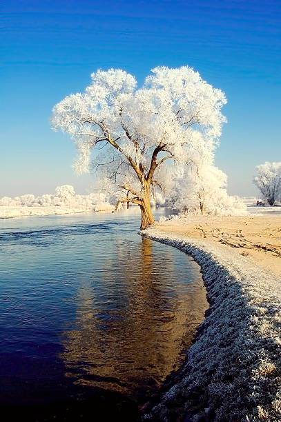 winter landscape of Havel river (Brandenburg, Germany).