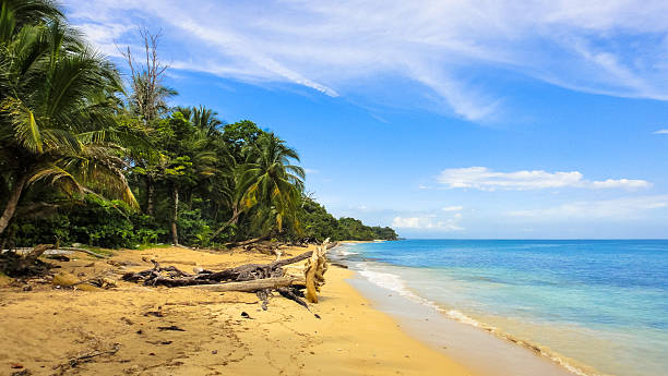 istock Caribbean islands in Panama. slipper. Bocas Del Toro 639340740
