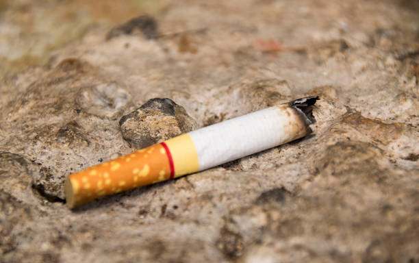 istock Close up cigarette stub in public dumping ground 639343806