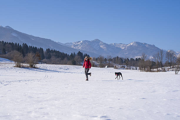 istock Woman jogging with her dog 639345030